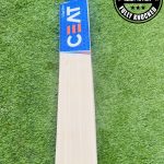 CEAT GRIP STAR ENGLISH WILLOW