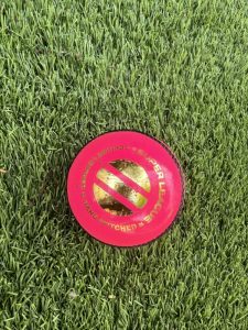 Eleven Super League Pink Leather Cricket Ball