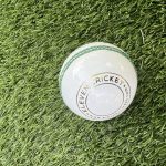 Eleven Super Test White Leather Cricket Ball