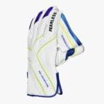 DSC Condor Floater Wicket Keeping Gloves & Inners ( Combo ) - Image 7