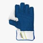DSC Condor Floater Wicket Keeping Gloves & Inners ( Combo ) - Image 5