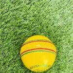 Eleven Indoor Cricket Ball - Image 3