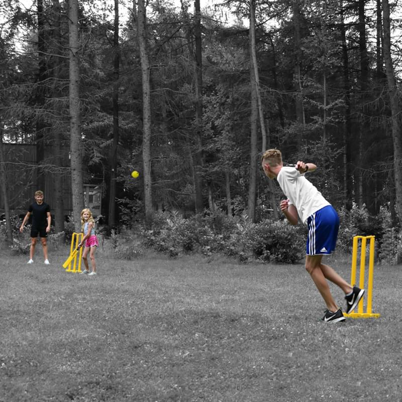 ELDERS KWIK CRICKET DOUBLE SET - Image 2